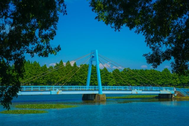 水元公園の水元大橋　25707438_s.jpg