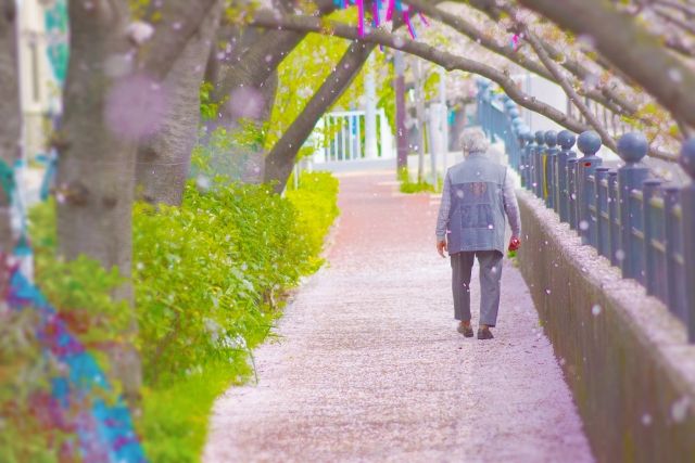 https://peacesigns.jp:2443/外を歩く高齢者.jpg