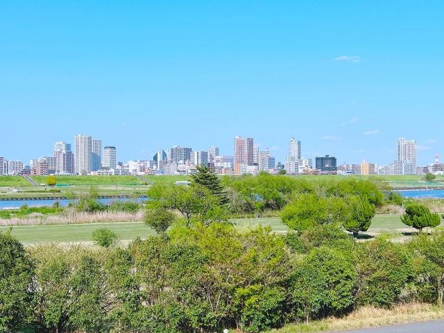 江戸川河川敷からの風景.jpg