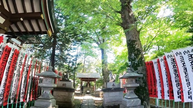 蓮根氷川神社 蓮根稲荷神社 ご神木稲荷.jpg